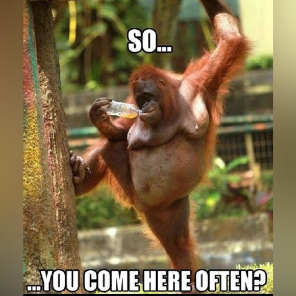 LoveMonkey Birthday Celebration Show - Sunday 2/1 @ 2:00 EST - Picture 7 of 10